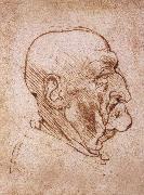 LEONARDO da Vinci Profile of an old man France oil painting reproduction